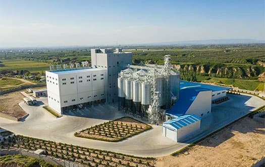 animal feed production line case